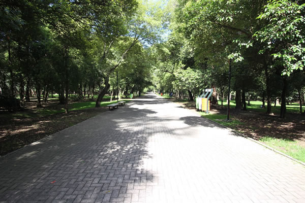 Bosque De Chapultepec